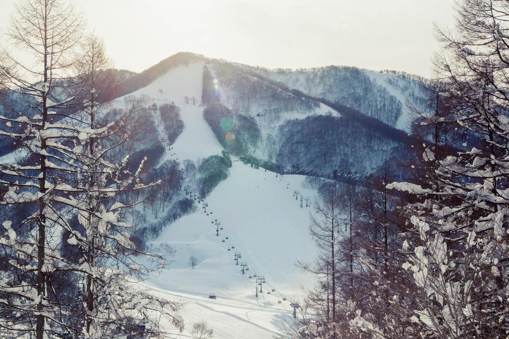 Готель Snowball Chalet At Madarao Mountain Iiyama Екстер'єр фото